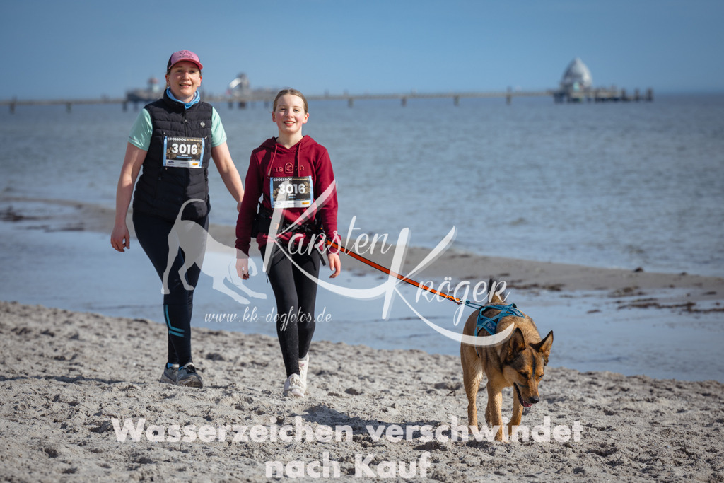 1248_ZZ99044 | kk-dogfotos