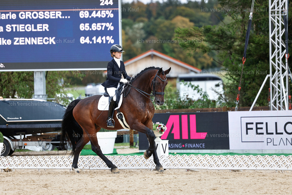 05-022-DRESSUR M_  -StoibPH-4912 | working equitationturnier fotograf videograf stoibphotography marixx film working equitation deutschland reitsport turnierfotografie eventfotografie equestrian events