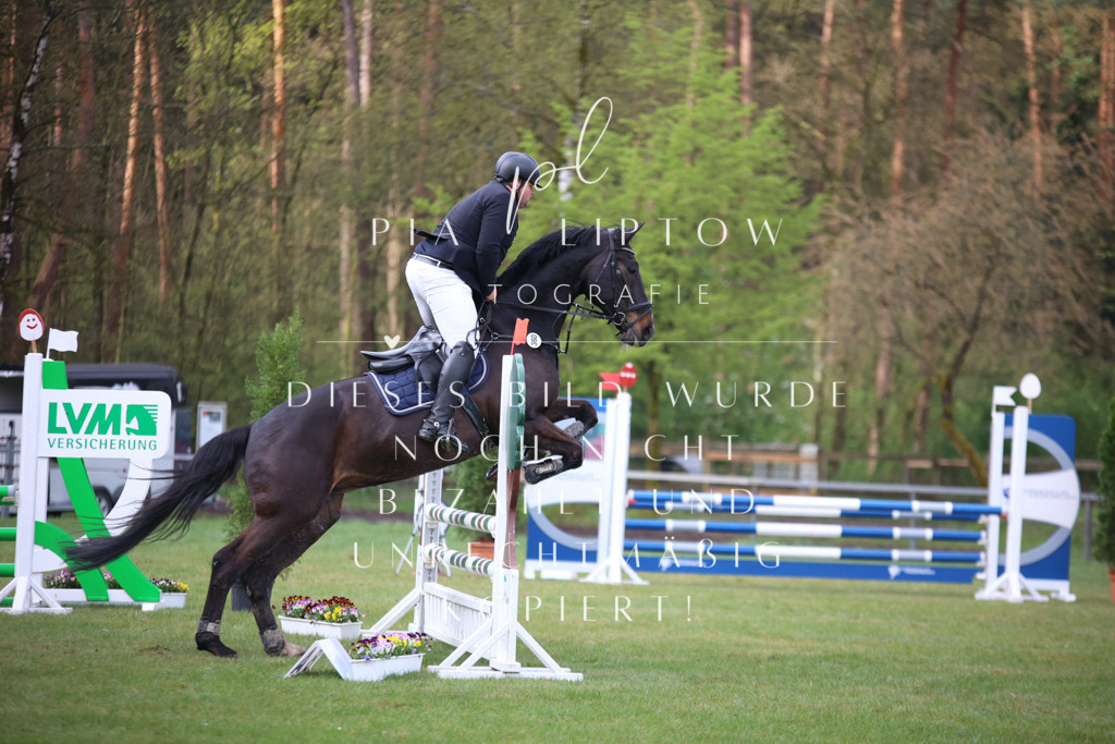 IMGT3076 | pl-fotografie