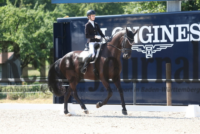 Bad Boll_2023_Prfg.Nr.07_FEI-Einzelaufgabe_Kl.L_Carla Müller_Dr. No 10 (12) | Alle Fotos der Reiterjournal Fotografin Doris Matthaes im Reiterjournal Online-Fotoshop. - Realizado com Pictrs.com