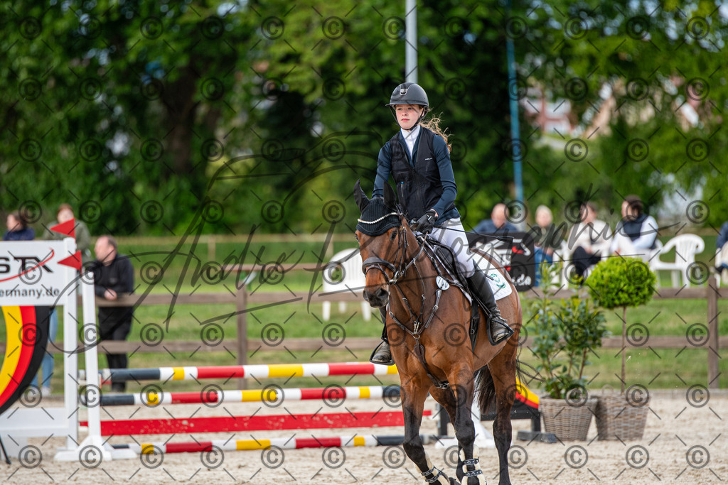 KPT_7141 | andre_photographic