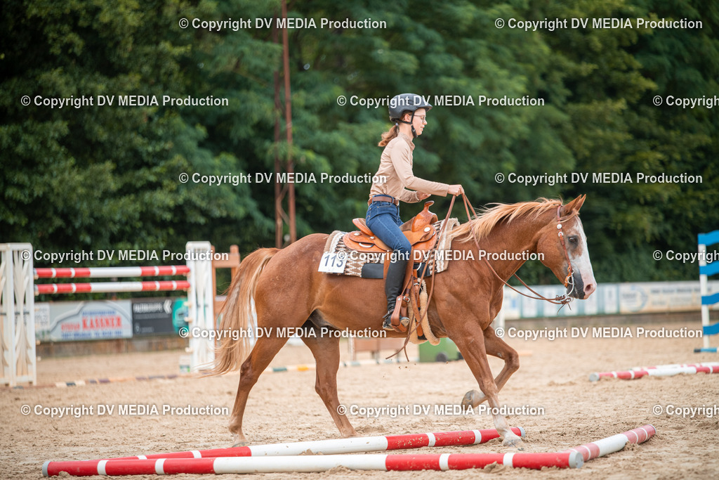 ZS2_8089 | dv-media-shop - Realisiert mit Pictrs.com