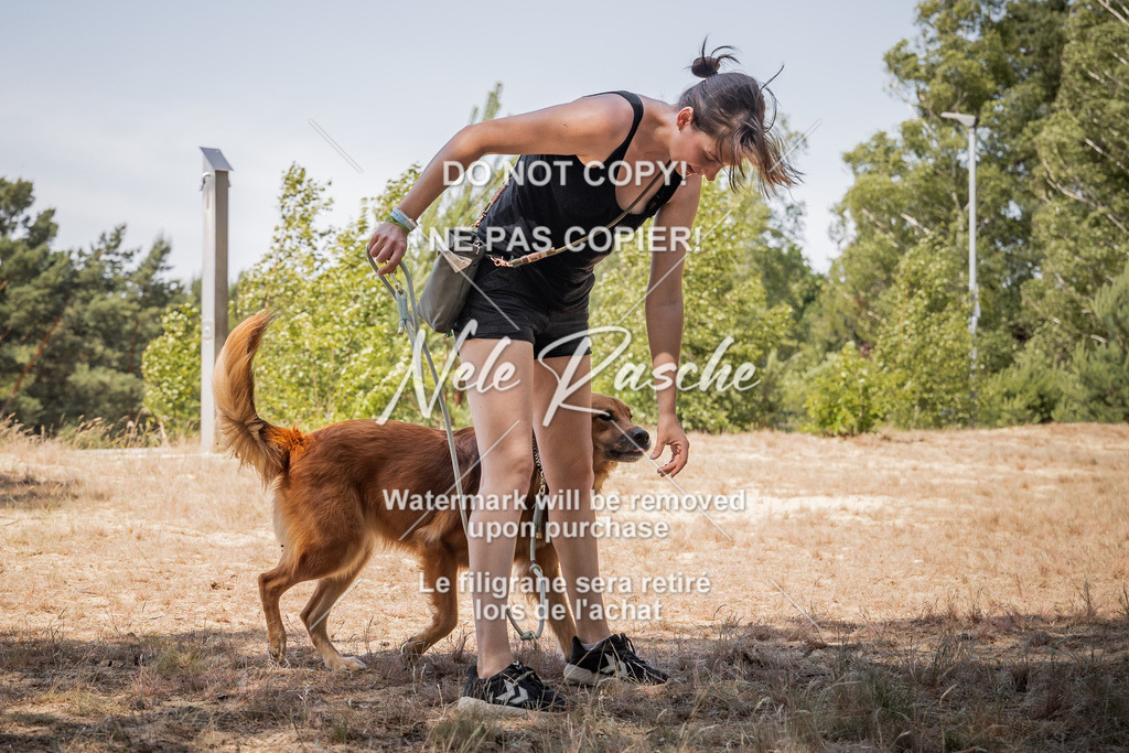 nelerasche_soDD3_221 | nelerasche