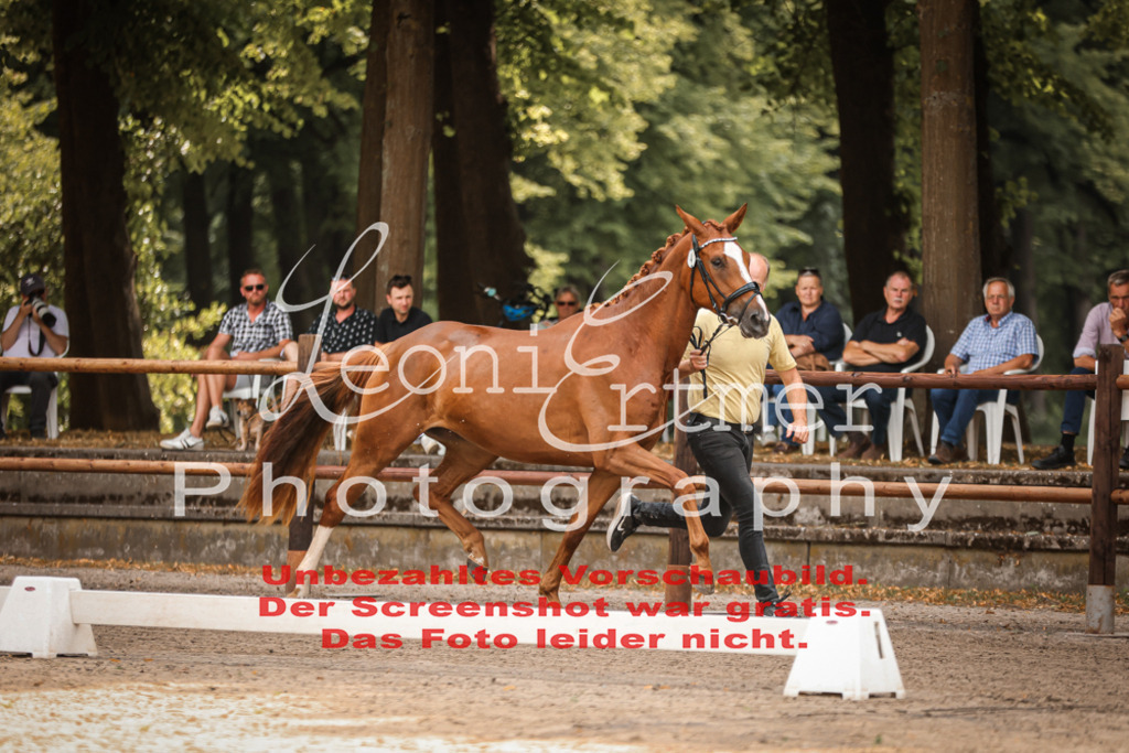 Do2.R00028 | Leoni Ertmer Photography - Realisiert mit Pictrs.com