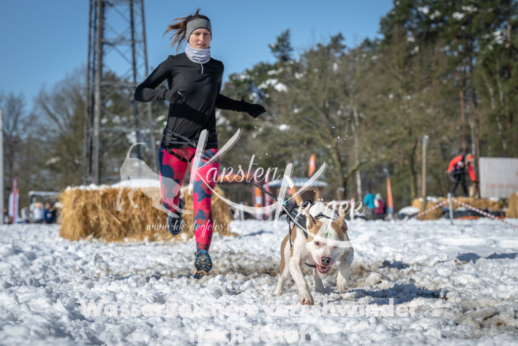 1117_ZZ91322-3 | kk-dogfotos