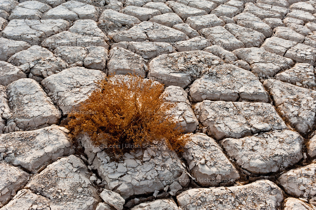 10972-10379 - Negev-Wüste _ Israel | max. Bildgröße A3 | 300dpi - Realisiert mit Pictrs.com