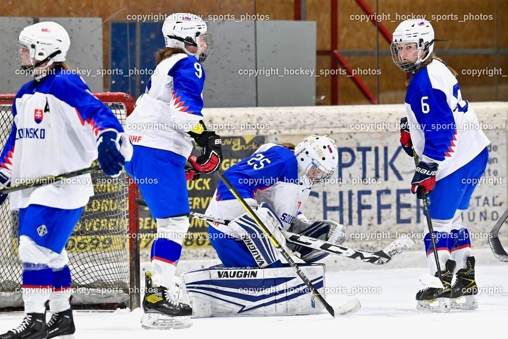 BST_4498 | hockey sports photos, Pressefotos, Sportfotos, hockey247, win 2day icehockeyleague, Handball Austria, Floorball Austria, ÖVV, Kärntner Eishockeyverband, KEHV, KFV, Kärntner Fussballverband, Österreichischer Volleyballverband, Alps Hockey League, ÖFB, 