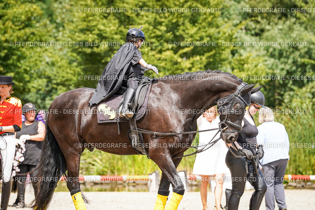 DSC03111 | Pferdegrafie