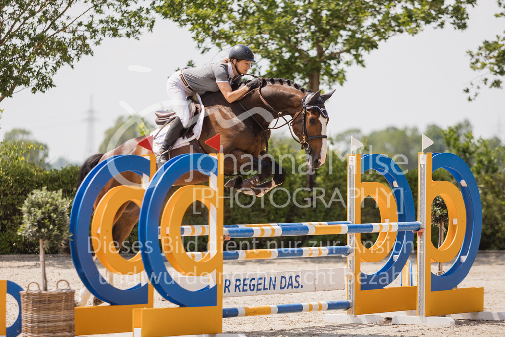 230616_Lemwerder_Springpf-L2-643 | Deine schönsten Turniermomente als professionelle Fotos! Entdecke hochwertige Pferdesport-Fotografie im Online-Shop. Jetzt Fotos finden & bestellen!