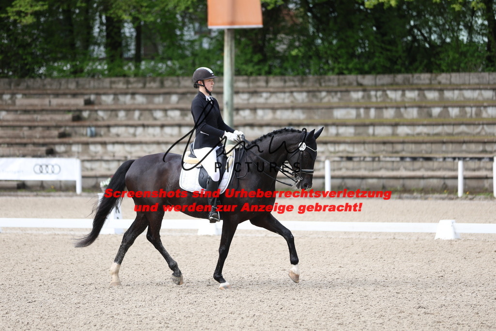 A40A0329 | lmwpictures - Realisiert mit Pictrs.com