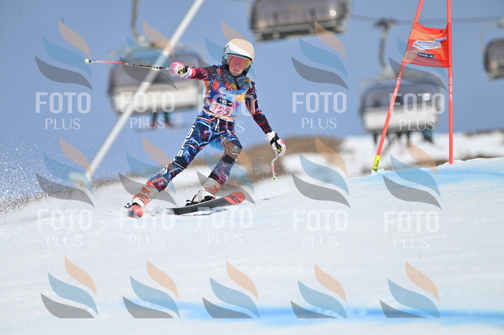 BGV_9893 | holidayphoto