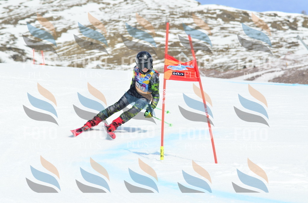 _ELE2449 | holidayphoto