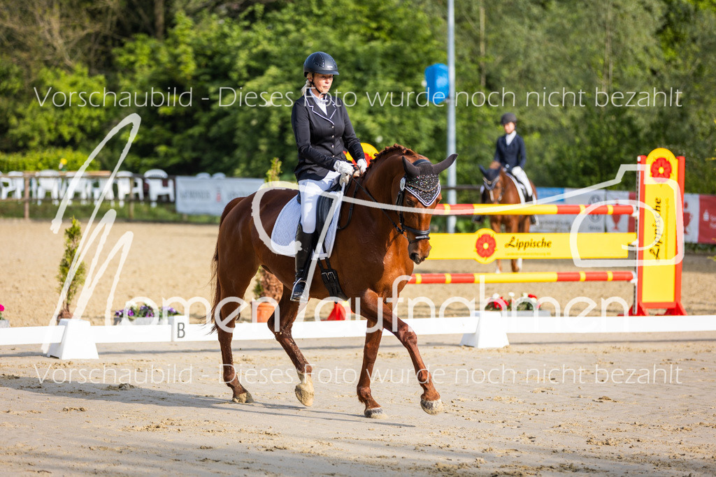 Donop24-A-Dre-007 | MomenTaufnahmen Pferdesportfotos