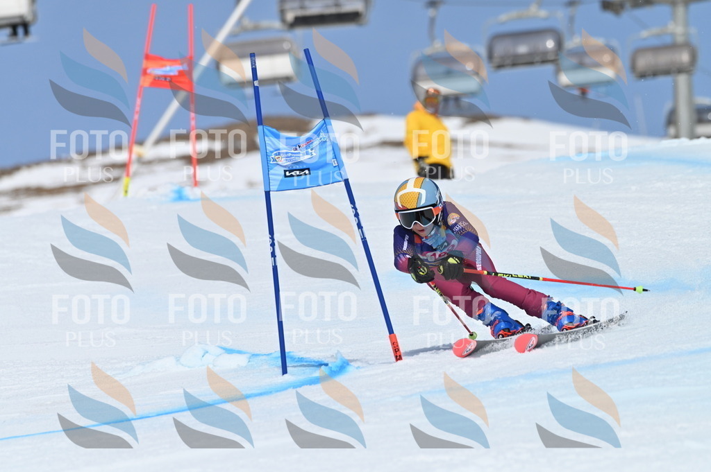 BGV_0953 | holidayphoto