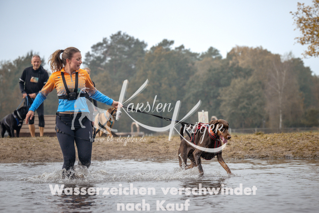 1114_ZZ93583 | kk-dogfotos