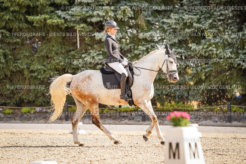 DSC00593 | Pferdegrafie