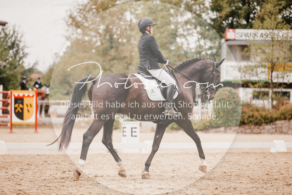 3I6A5971 | Stimmungsvolle Portraits und Reitsportfotografie im Ruhrgebiet und im Münsterland.

Pferdefotografie, Hundefotografie, Tierfotografie, Reportagen, Portraits von Tier und Mensch, Turnierfotografie in Bochum, Recklinghausen, Marl, Haltern am See, Dülmen.. - Realisiert mit Pictrs.com