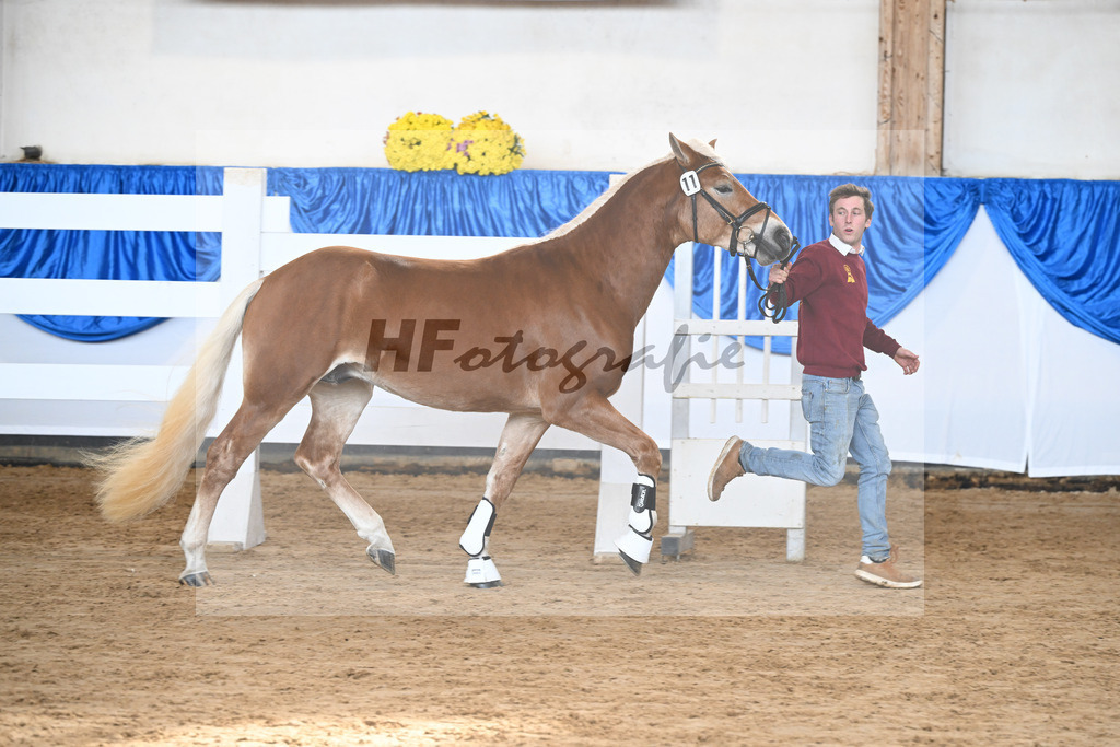 Kat-Nr. 11 nn v. Nordkerl_Nonn_48250228 | hf-fotografie - Realisiert mit Pictrs.com