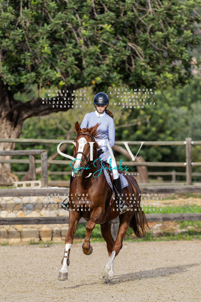 IMG_4553 | s-jay-photography - Realisiert mit Pictrs.com