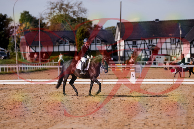 2026_10_03_Siefer-Hof_121406_Z81_15293670 | Professionelle Reitsport-, Turnier- und Eventfotografie von Robert Broda. Galerien mit ausgewählten und bearbeiteten Bildern direkt online ansehen und bestellen.