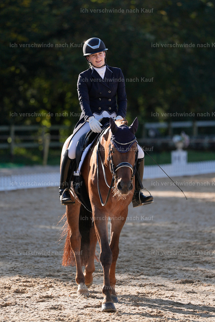 09_1-143-DRESSUR  S_  -StoibPH-5570 | working equitationturnier fotograf videograf stoibphotography marixx film working equitation deutschland reitsport turnierfotografie eventfotografie equestrian events