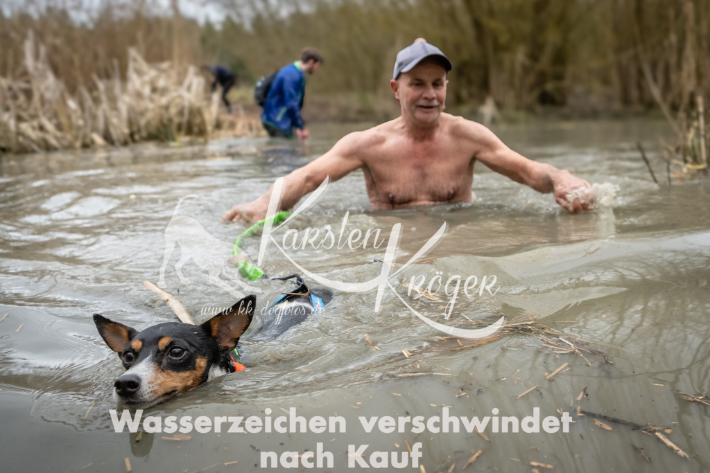 1233_ZZ98271 | kk-dogfotos