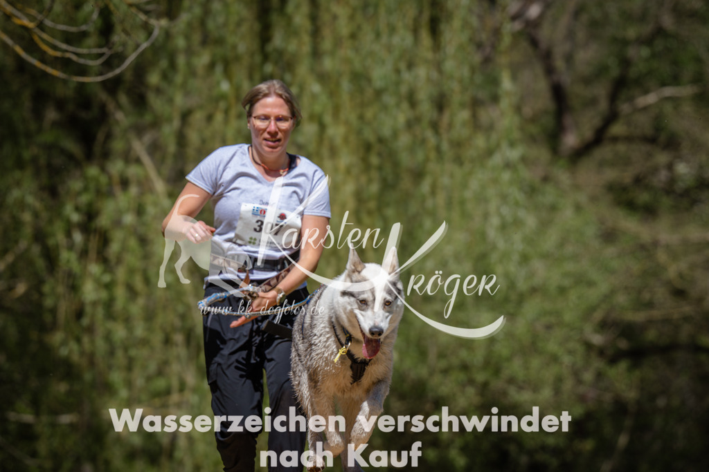 1242_ZZ93769 | kk-dogfotos
