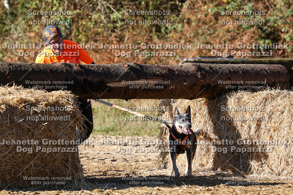 Dog Paparazzi - Strongdog 10-25-1799 | Dog Paparazzi Jeanette Grottendiek Fotografie & Videografie - Realisiert mit Pictrs.com