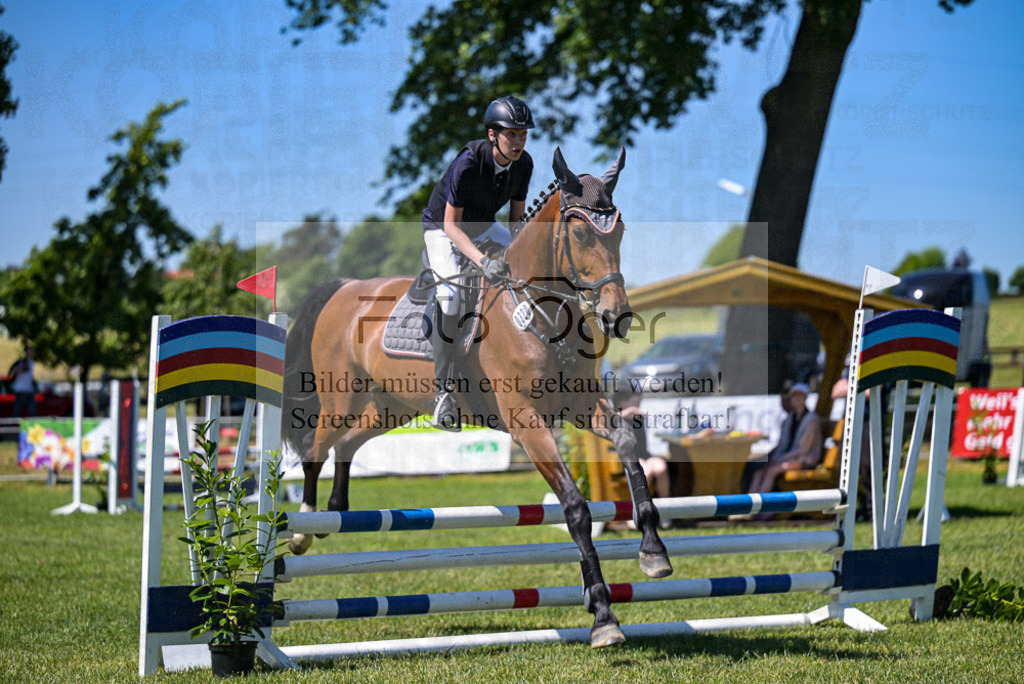 Reitturnier Voxtrup | Entdecke hochwertige Reitturnierfotos von Foto Oger. Professionell, emotional und authentisch – jetzt Lieblingsmomente im Shop bestellen.Deutschlandweite Turnierfotografie. - Realisiert mit Pictrs.com