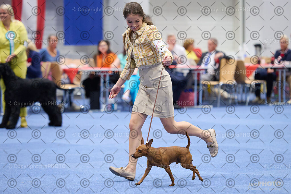 202406_ÖKV-IHA-Tulln24_DSC_2930 | proPHOTO - Realisiert mit Pictrs.com