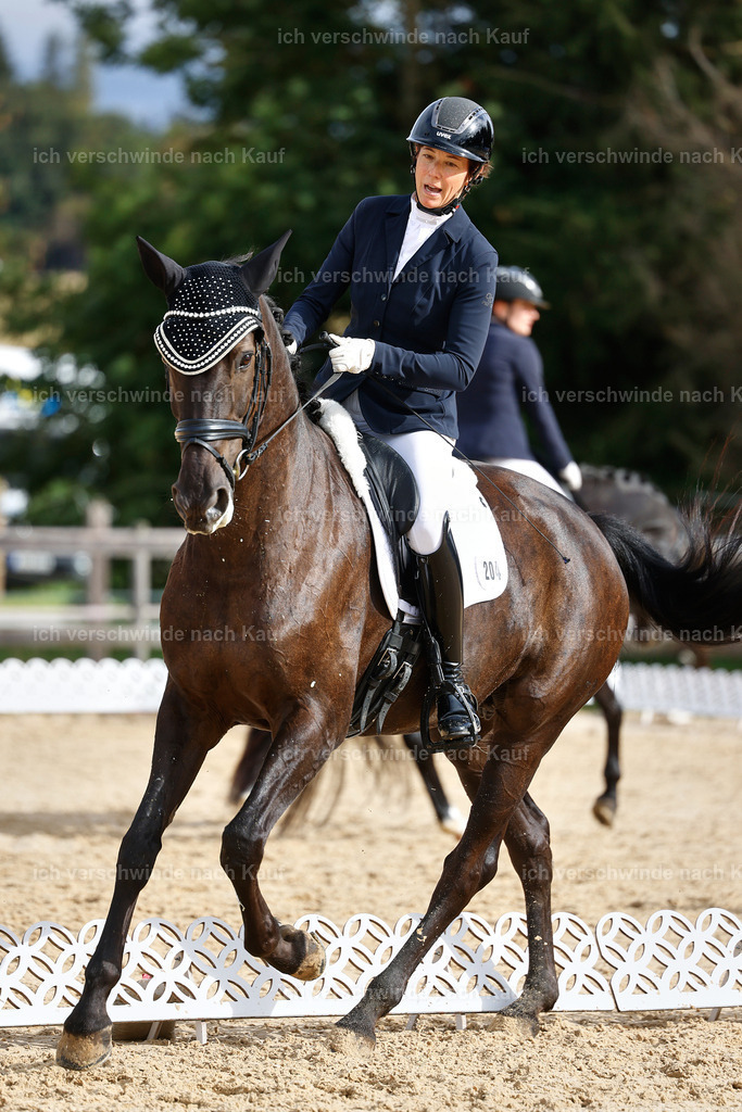 02-204-DRESSUR L_  -StoibPH-4801 | working equitationturnier fotograf videograf stoibphotography marixx film working equitation deutschland reitsport turnierfotografie eventfotografie equestrian events