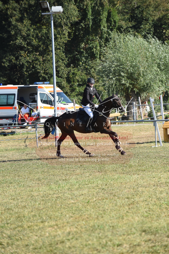 DSC_5371 | Pferde- und Turnierfotografie in Westsachsen. Pferdeportraits, Auftragszeichnungen und intuitive Kunst.