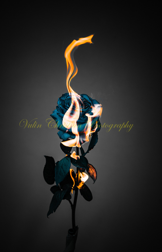 P 78 | Christian Vulin  - Realisiert mit Pictrs.com