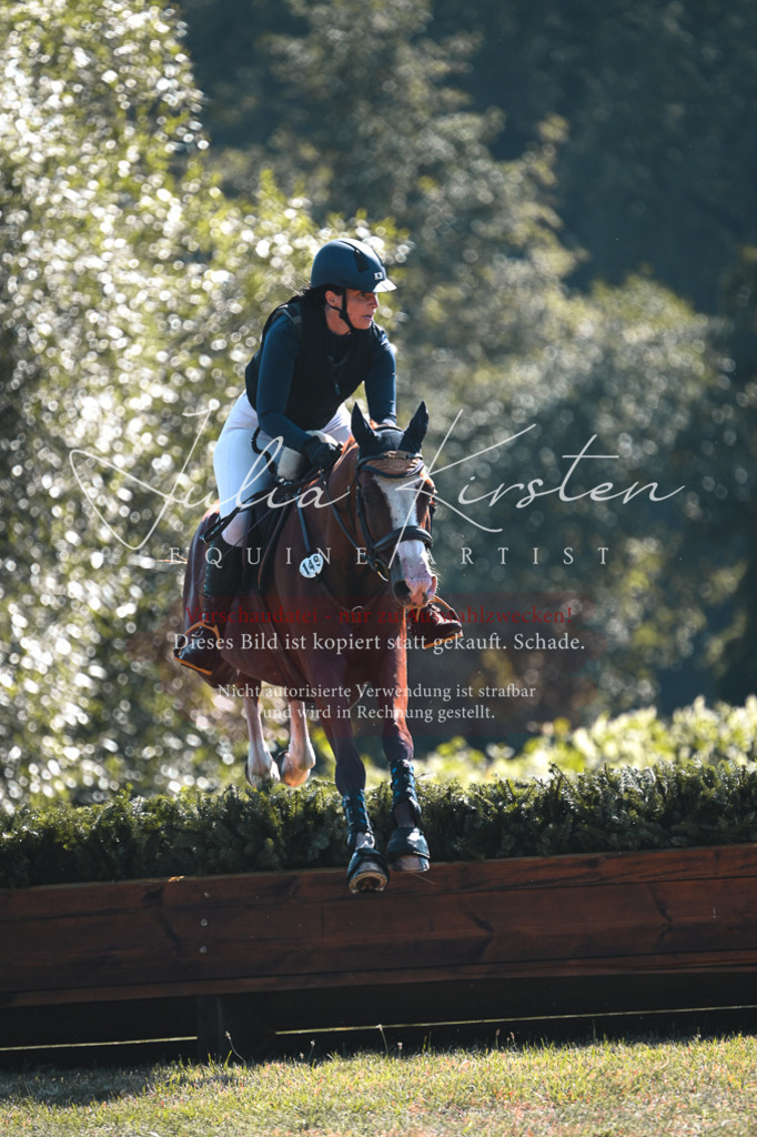 DSC_8001 | Pferde- und Turnierfotografie in Westsachsen. Pferdeportraits, Auftragszeichnungen und intuitive Kunst.