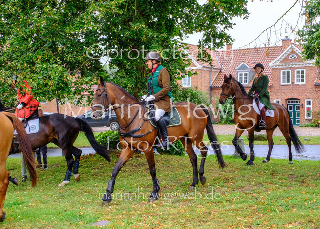 Jagd Kletkamp 26-9495_MarinaHewig | Fotografie, FotoArt, PferdesportArt, Pferdesportfotografie, Landschaftsfotografie, Reisefotografie, Reise, Pferde - Realisiert mit Pictrs.com