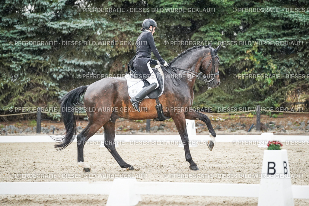 DSC08215 | Pferdegrafie