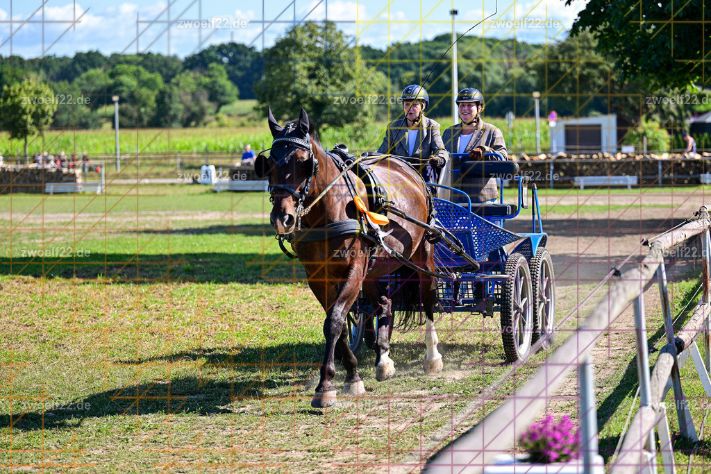 30 Jahre RFV Pulsnitz e.V., Pulsnitz am 09.08.2026 | 30Jahre Reit- und Fahrverein Pulsnitz e.V., Pulsnitz am 08.08.2026, Zur 28. breitensportlichen Veranstaltung des RFV Pulsnitz e.V. fanden verschiedene Wettbewerbe in nahezu allen Disziplinen des Pferdesport statt.- Dressur-Fahr-Wettbewerb - Realisiert mit Pictrs.com