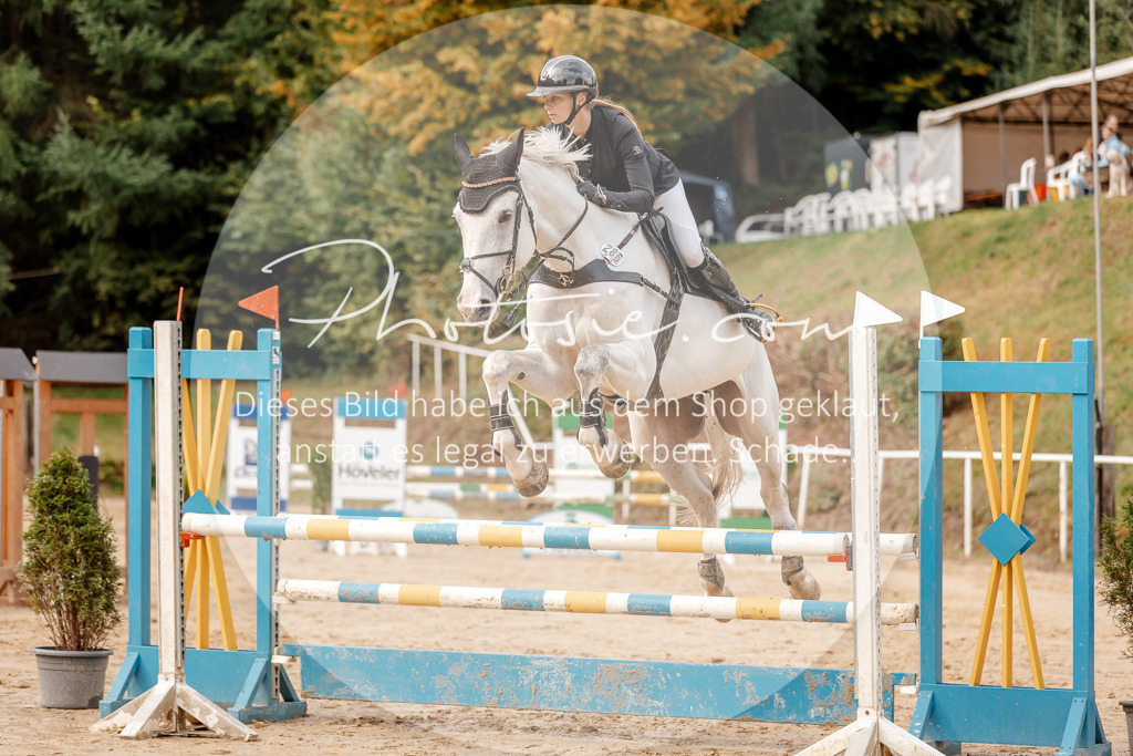 3I6A6799 | Stimmungsvolle Portraits und Reitsportfotografie im Ruhrgebiet und im Münsterland.

Pferdefotografie, Hundefotografie, Tierfotografie, Reportagen, Portraits von Tier und Mensch, Turnierfotografie in Bochum, Recklinghausen, Marl, Haltern am See, Dülmen.. - Realisiert mit Pictrs.com