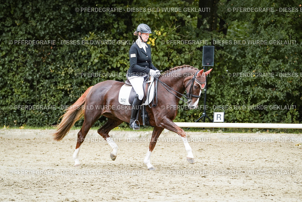 DSC06615 | Pferdegrafie