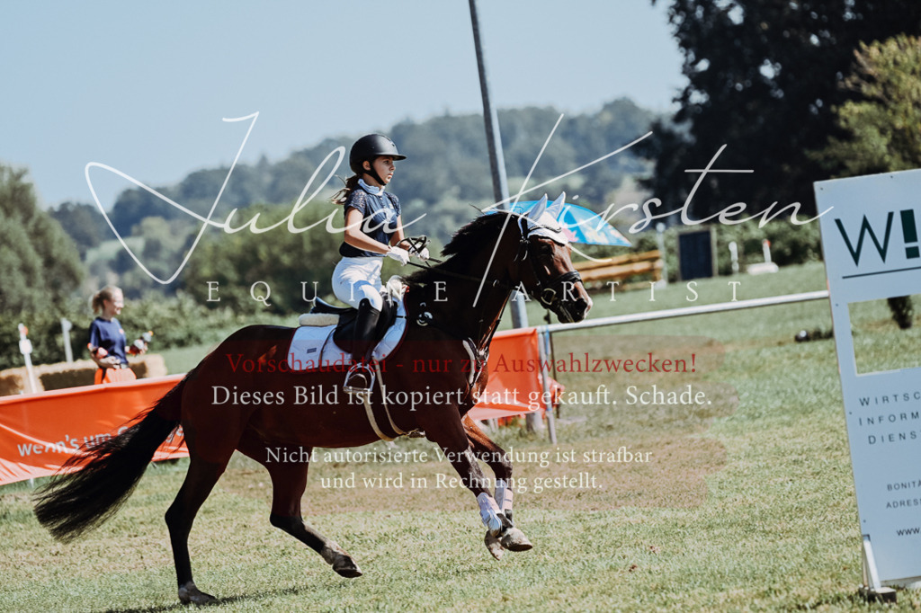 DSC_5859 | Pferde- und Turnierfotografie in Westsachsen. Pferdeportraits, Auftragszeichnungen und intuitive Kunst.