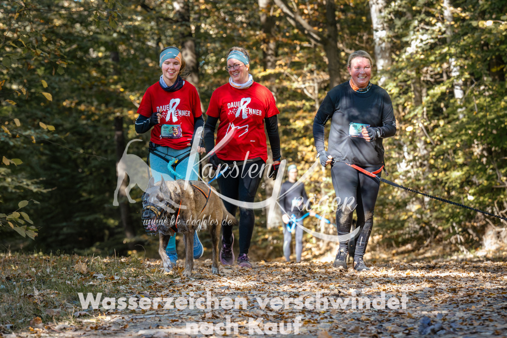 1214_ZZ94593 | kk-dogfotos