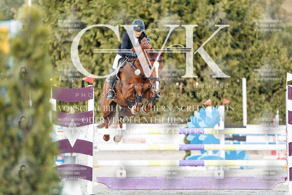 CK901506 | Turnierfotografie Pferdefotografie Trier Rheinland-Pfalz Pferdesport Reitsport Tierfotografie Sportfotografie Pferdevideo Pferdevideografie Equestrianvideography equestrianphotography  - Realisiert mit Pictrs.com