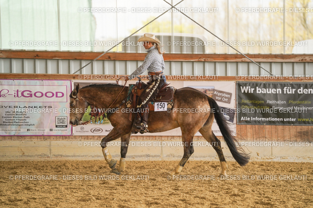 DSC08211 | Pferdegrafie