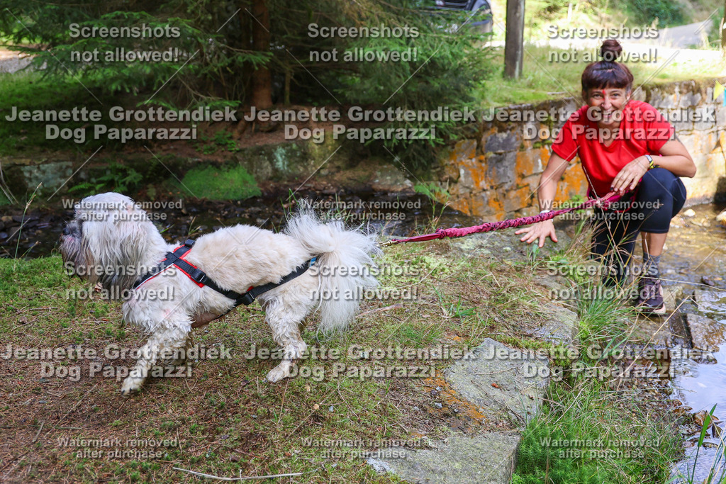 Dog Paparazzi -  TH 26-15 | Dog Paparazzi Jeanette Grottendiek Fotografie & Videografie - Realisiert mit Pictrs.com