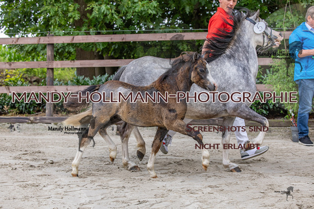 1 (1206) | mandyhollmannphotographie