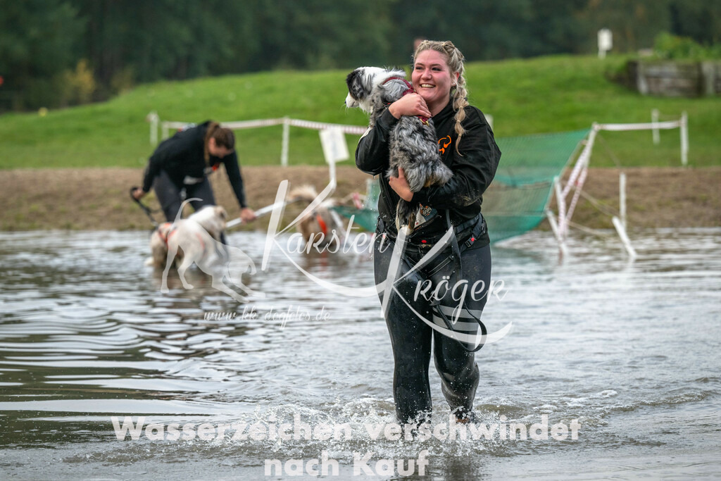 0852_ZZ93199 | kk-dogfotos