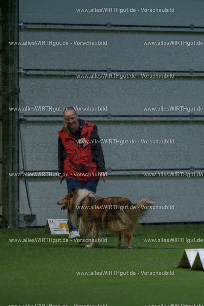 7R500474 | Professionelle Tierfotografie in Mönchengladbach von Daniel Wirth (allesWIRTHgut). Liebevolle & natürliche Bilder von Hunden & Katzen für unvergessliche Erinnerungen.