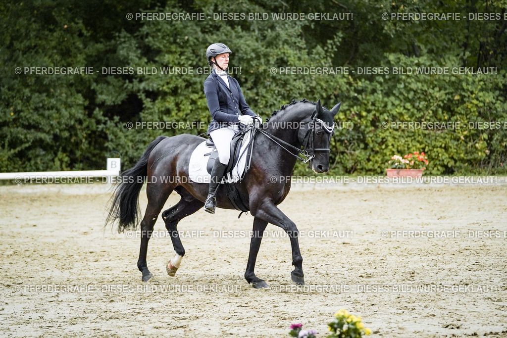 DSC00096 | Pferdegrafie