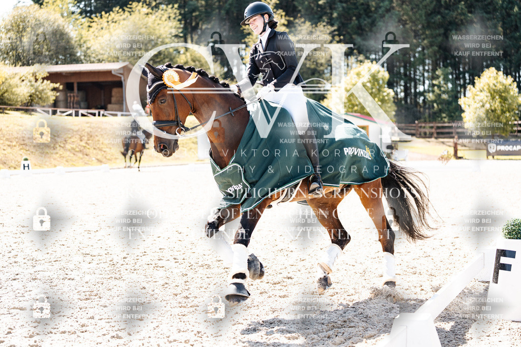 CK904294 | Turnierfotografie Pferdefotografie Trier Rheinland-Pfalz Pferdesport Reitsport Tierfotografie Sportfotografie Pferdevideo Pferdevideografie Equestrianvideography equestrianphotography  - Realisiert mit Pictrs.com