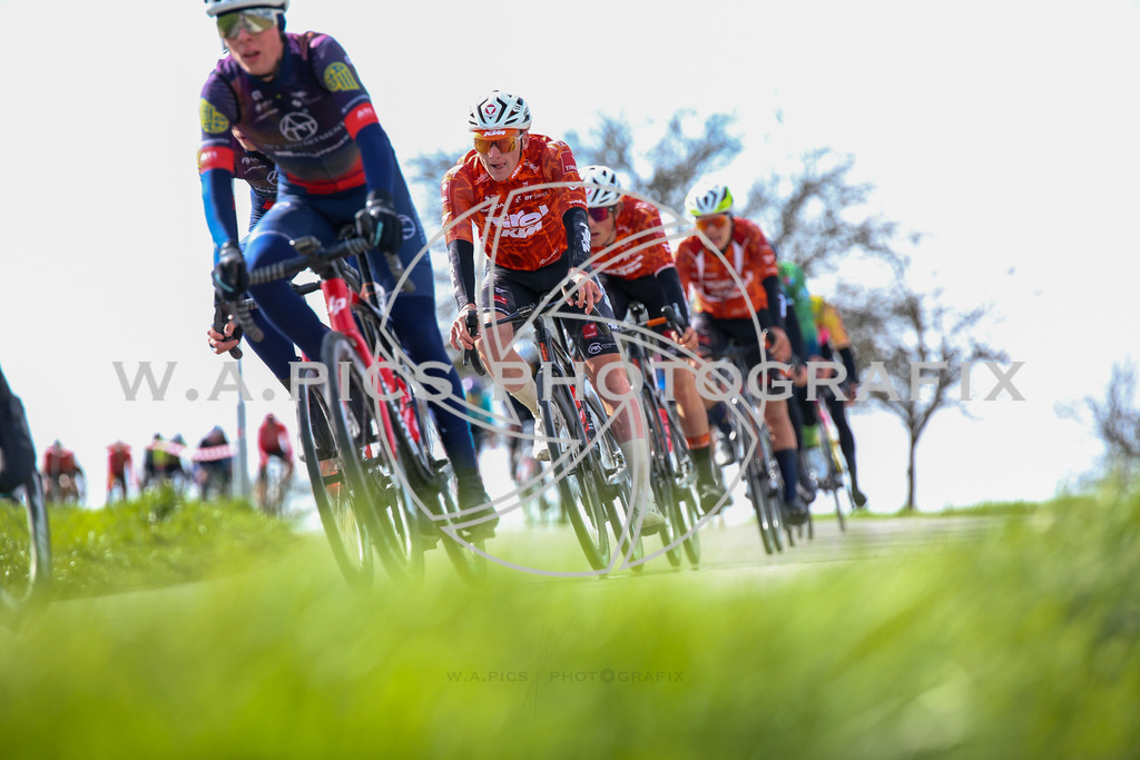 ..... | LEONDING,AUSTRIA,24.März.24 - 63.Radsaisoneröffnungsrennen Leonding Road Cycling League , Image shows: 
Photo: WAPICS / Andreas Willdoner